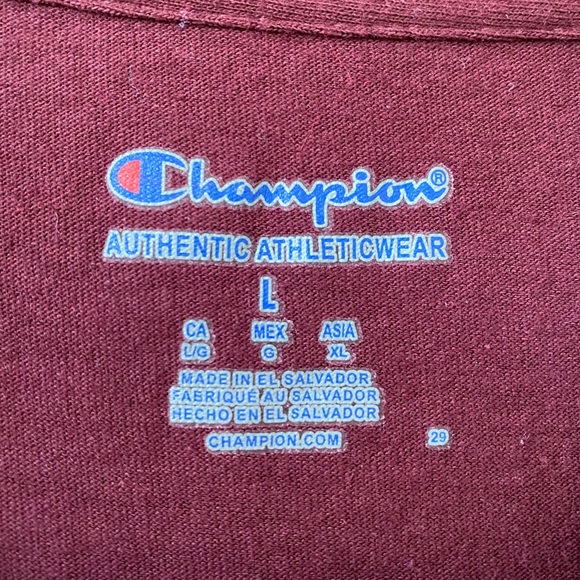 CHAMPION • Mens Boston College Swimming & Diving T-Shirt size Large - Picture 4 of 14